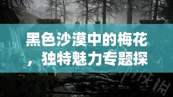 黑色沙漠中的梅花，獨特魅力專題探索