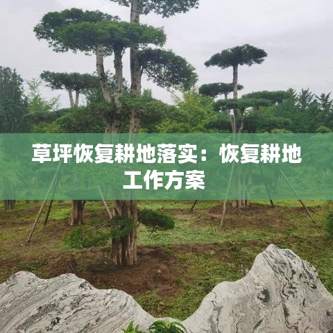 草坪恢復(fù)耕地落實：恢復(fù)耕地工作方案 