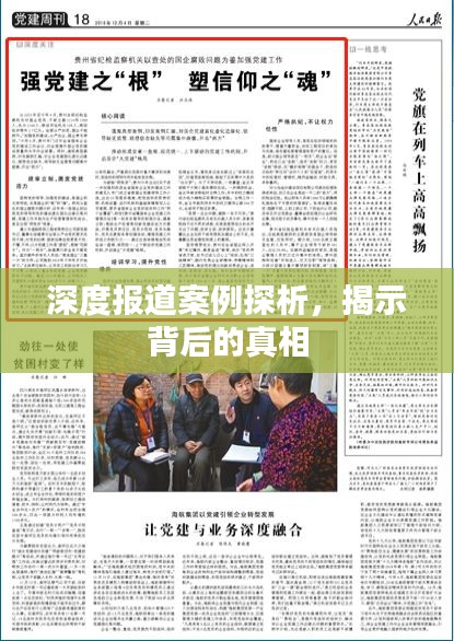 深度報(bào)道案例探析，揭示背后的真相