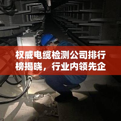 權(quán)威電纜檢測(cè)公司排行榜揭曉，行業(yè)內(nèi)領(lǐng)先企業(yè)榜單出爐！