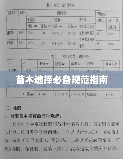 苗木選擇必備規(guī)范指南
