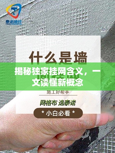 揭秘獨(dú)家掛網(wǎng)含義，一文讀懂新概念