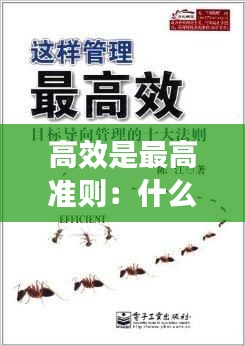 高效是最高準(zhǔn)則：什么是高效的 