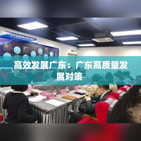 高效發(fā)展廣東：廣東高質(zhì)量發(fā)展對策 