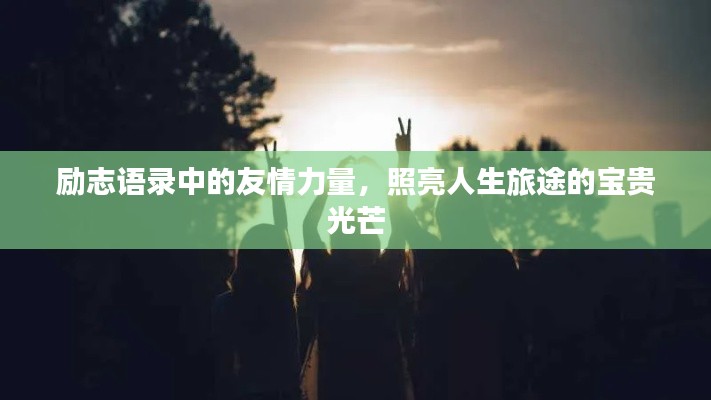 衣無(wú)二彩 第2頁(yè)