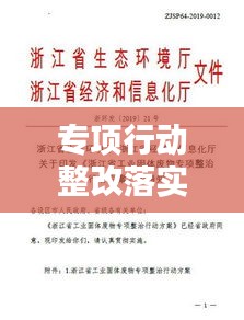 專項(xiàng)行動整改落實(shí)方案：專項(xiàng)整改工作的實(shí)施方案 