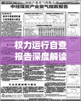 權力運行自查報告深度解讀，揭示問題，提出整改建議，促進規范運行！