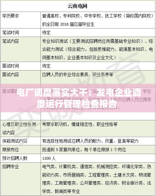 電廠調度落實大干：發電企業調度運行管理檢查報告 