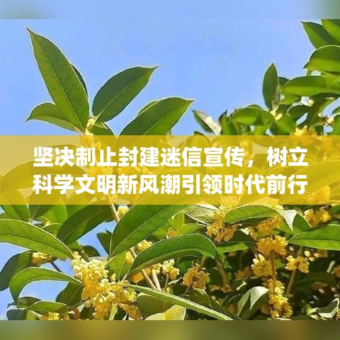 堅決制止封建迷信宣傳，樹立科學文明新風潮引領時代前行