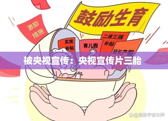 張冠李戴 第2頁