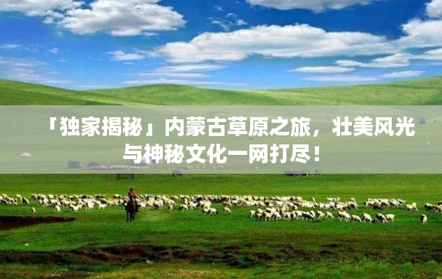 雍容典雅 第2頁
