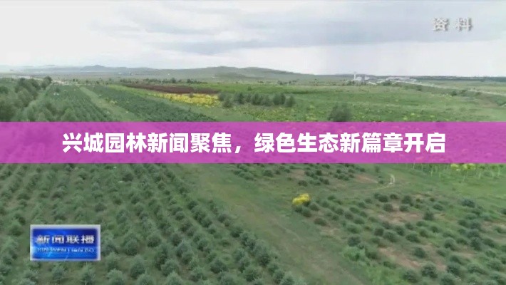 間不容發(fā) 第3頁