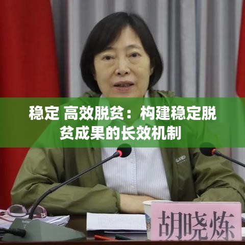 穩(wěn)定 高效脫貧：構(gòu)建穩(wěn)定脫貧成果的長(zhǎng)效機(jī)制 