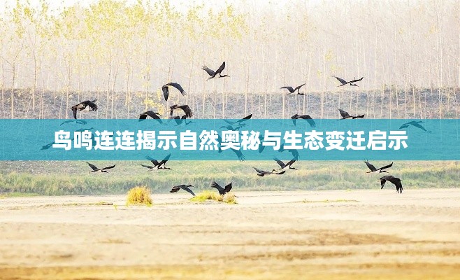鳥(niǎo)鳴連連揭示自然奧秘與生態(tài)變遷啟示