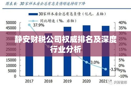 靜安財稅公司權(quán)威排名及深度行業(yè)分析