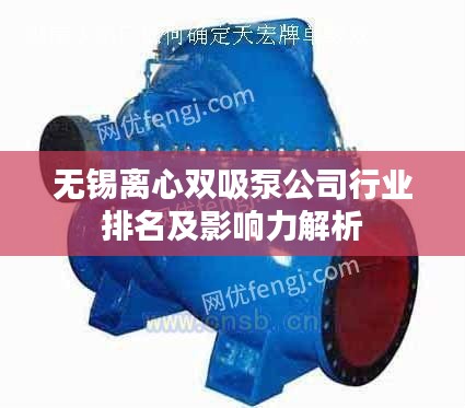 無錫離心雙吸泵公司行業(yè)排名及影響力解析