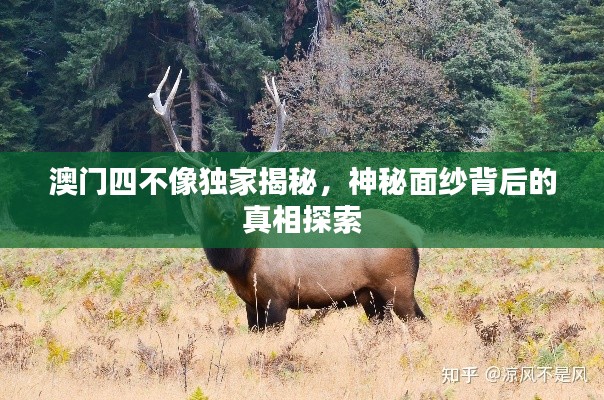 澳門四不像獨(dú)家揭秘，神秘面紗背后的真相探索