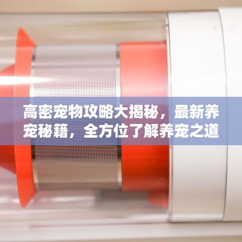 寒蟬僵鳥 第2頁