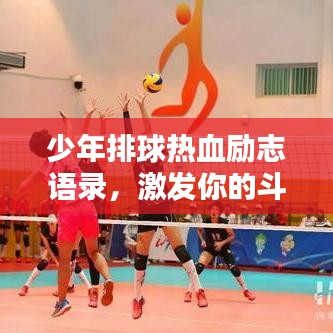 少年排球熱血勵志語錄，激發你的斗志時刻！