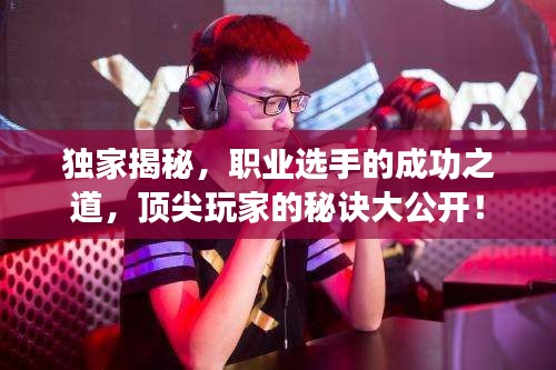 獨(dú)家揭秘，職業(yè)選手的成功之道，頂尖玩家的秘訣大公開！