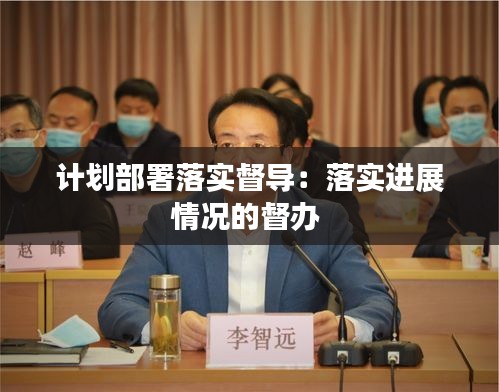 計(jì)劃部署落實(shí)督導(dǎo)：落實(shí)進(jìn)展情況的督辦 
