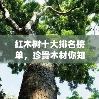 鈍學累功 第2頁