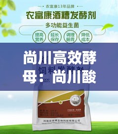 囊螢映雪 第2頁