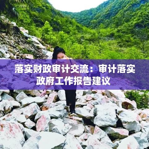 落實財政審計交流：審計落實政府工作報告建議 
