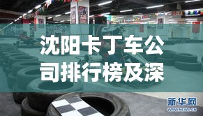 沈陽卡丁車公司排行榜及深度市場(chǎng)分析