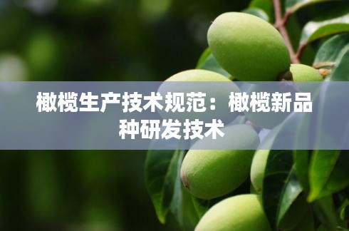 橄欖生產技術規范：橄欖新品種研發技術 
