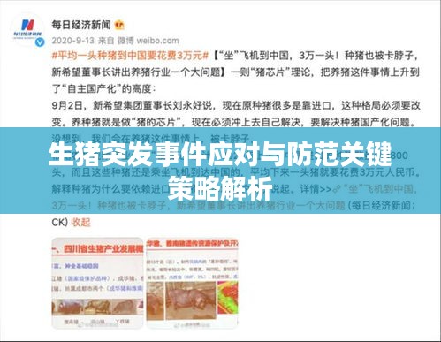 生豬突發(fā)事件應(yīng)對(duì)與防范關(guān)鍵策略解析