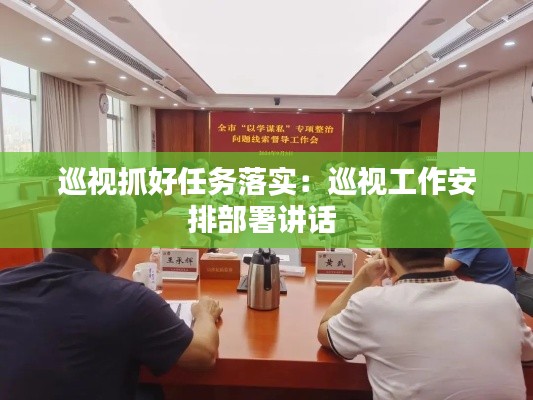 巡視抓好任務(wù)落實(shí)：巡視工作安排部署講話 