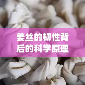 布被瓦器 第2頁