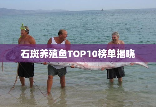 石斑養殖魚TOP10榜單揭曉