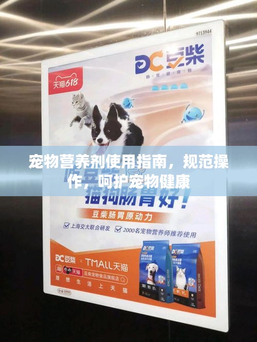 寵物營養(yǎng)劑使用指南，規(guī)范操作，呵護(hù)寵物健康