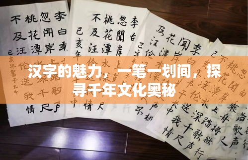 漢字的魅力，一筆一劃間，探尋千年文化奧秘