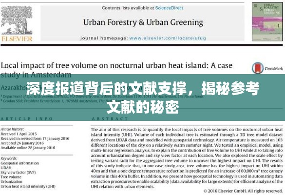 深度報道背后的文獻支撐，揭秘參考文獻的秘密