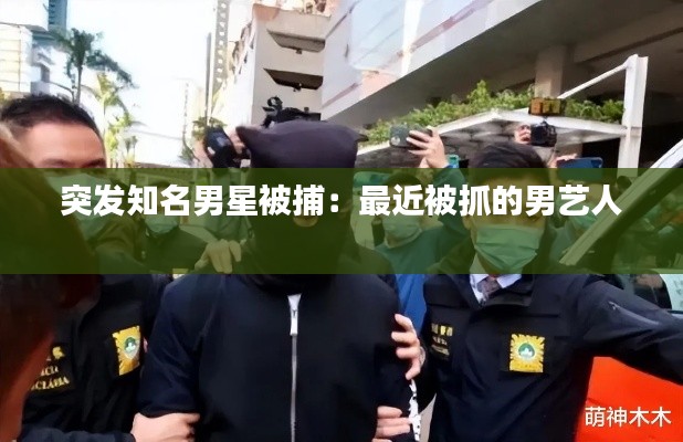 突發(fā)知名男星被捕：最近被抓的男藝人 