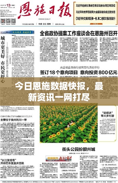 今日恩施數據快報，最新資訊一網打盡