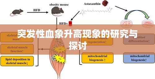 突發性血象升高現象的研究與探討