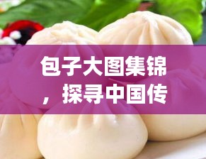 包子大圖集錦，探尋中國傳統(tǒng)美食的無限魅力！