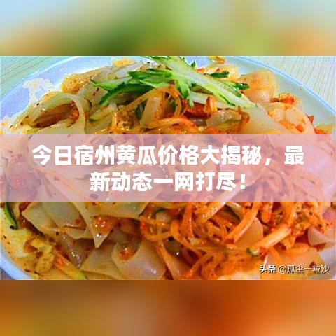今日宿州黃瓜價格大揭秘，最新動態一網打盡！