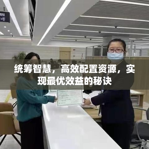 統籌智慧，高效配置資源，實現最優效益的秘訣
