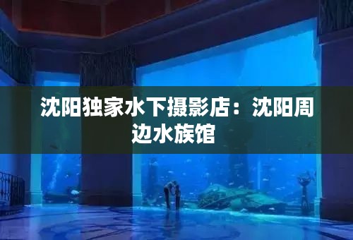 作舍道邊 第2頁