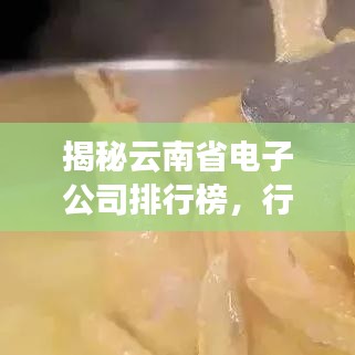 揭秘云南省電子公司排行榜，行業(yè)巨頭一網(wǎng)打盡！