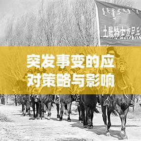 突發(fā)事變的應(yīng)對策略與影響最小化方法