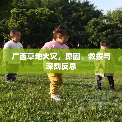 廣西草地火災(zāi)，原因、救援與深刻反思