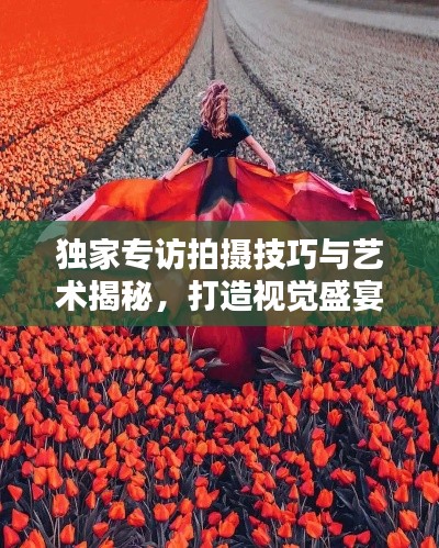 獨家專訪拍攝技巧與藝術揭秘，打造視覺盛宴的秘籍