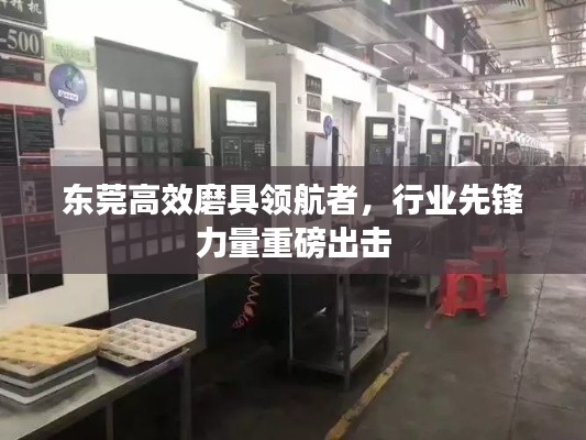 東莞高效磨具領(lǐng)航者，行業(yè)先鋒力量重磅出擊