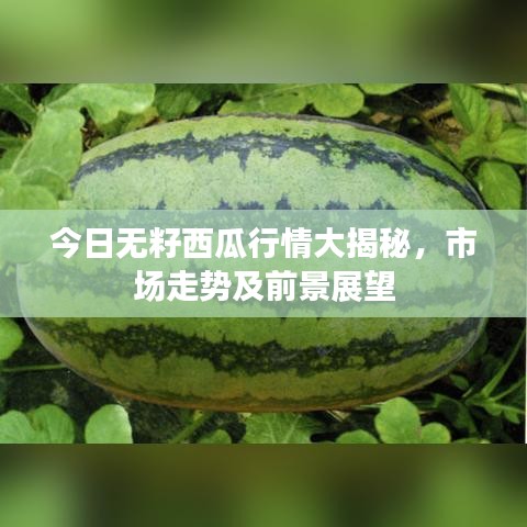 豪門(mén)貴胄 第2頁(yè)